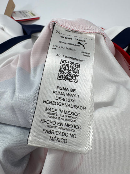 2024/25 PUMA CHIVAS AWAY JERSEY ARMANDO GONZALEZ 34 (XL)