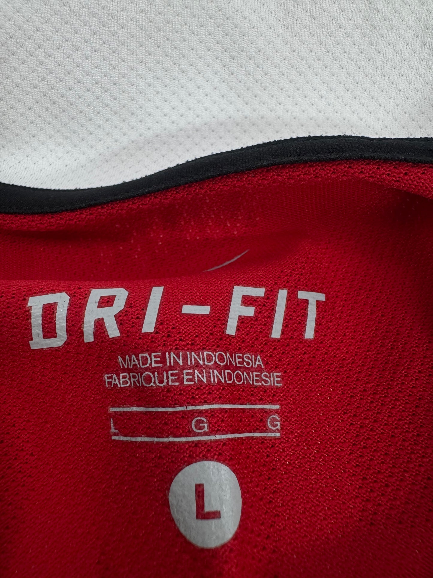 2010 NIKE MANCHESTER UNITED HOME JERSEY CHICHARITO 14 (L)